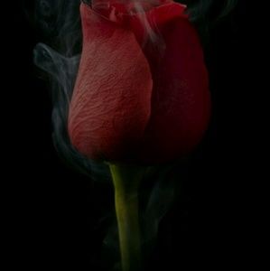 Meet your Posher, Kendall